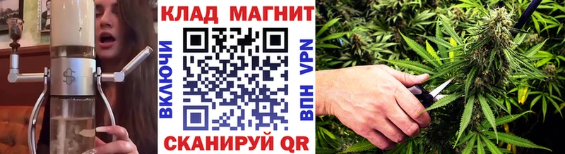 Псилоцибиновые грибы Североуральск
